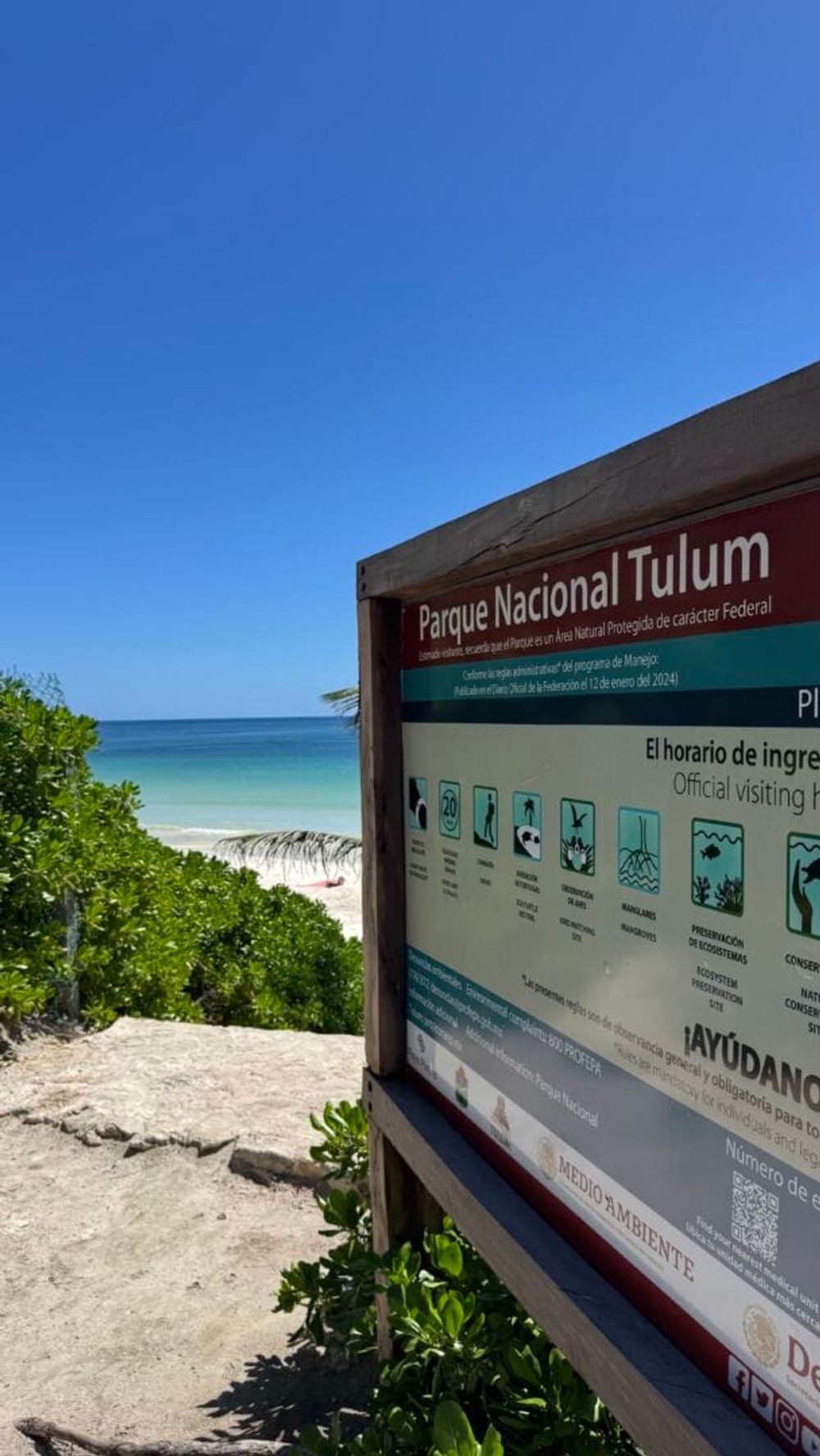 Tulum reopens stronger than ever with clear skies, clean beaches, and better prices - Photo 3