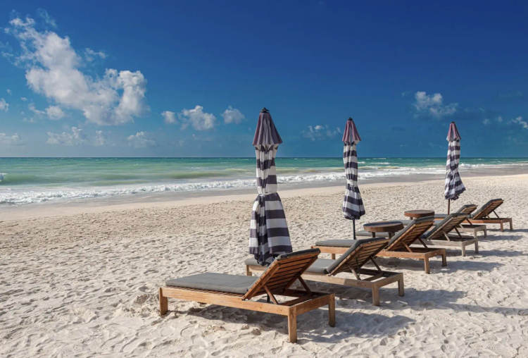 Crisis in Tulum? The truth behind the viral video - Photo 4 Crisis in Tulum? The truth behind the viral video - Photo 4