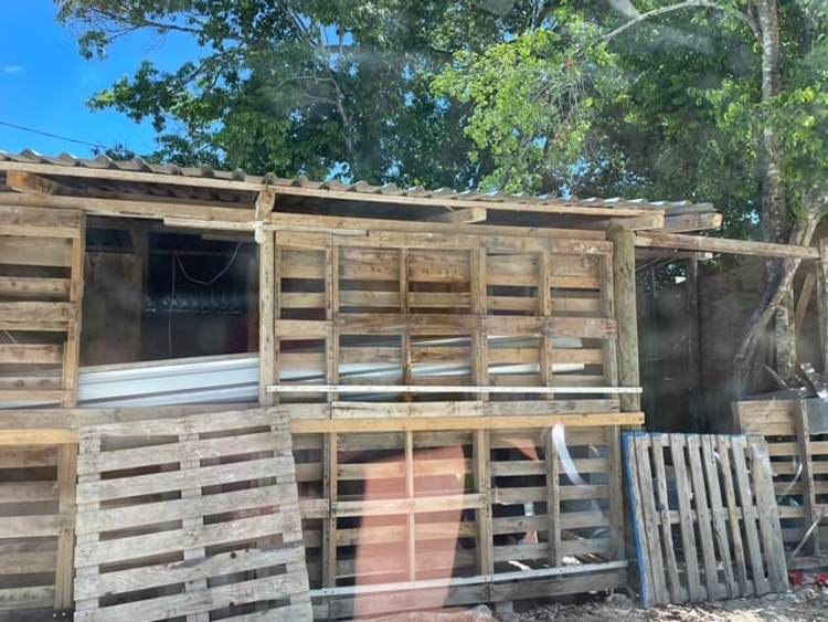Illegal occupation in Tulum sparks outrage over government inaction - Photo 1 Illegal occupation in Tulum sparks outrage over government inaction - Photo 1