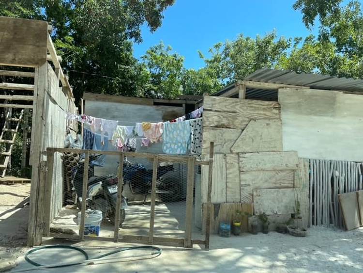 Illegal occupation in Tulum sparks outrage over government inaction - Photo 2 Illegal occupation in Tulum sparks outrage over government inaction - Photo 2