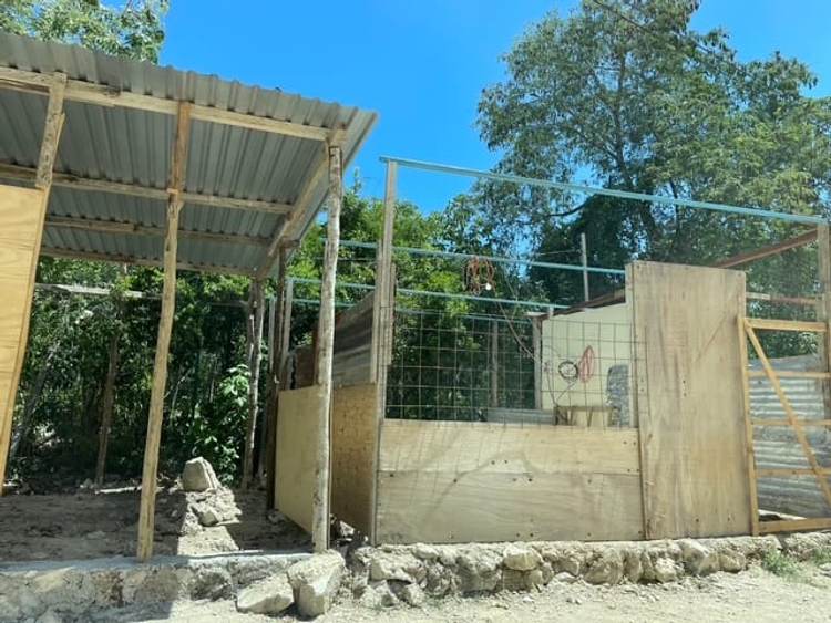 Illegal occupation in Tulum sparks outrage over government inaction - Photo 3 Illegal occupation in Tulum sparks outrage over government inaction - Photo 3