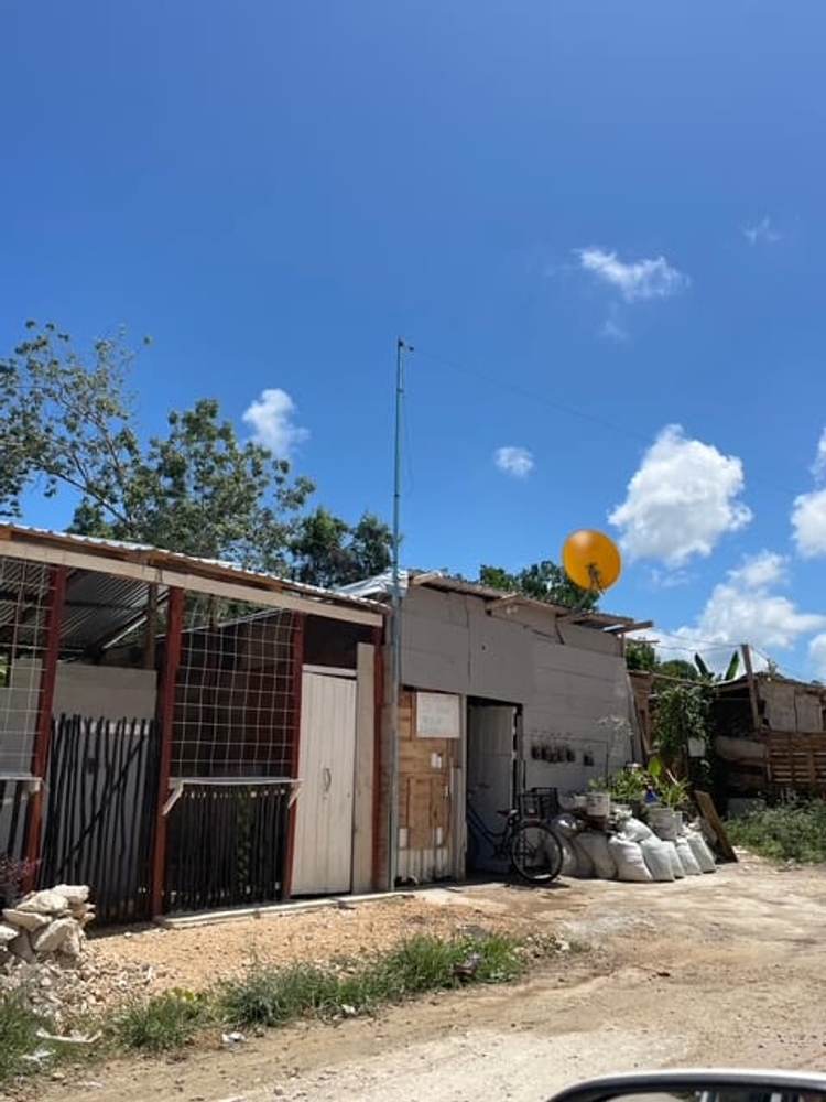 Illegal occupation in Tulum sparks outrage over government inaction - Photo 5 Illegal occupation in Tulum sparks outrage over government inaction - Photo 5