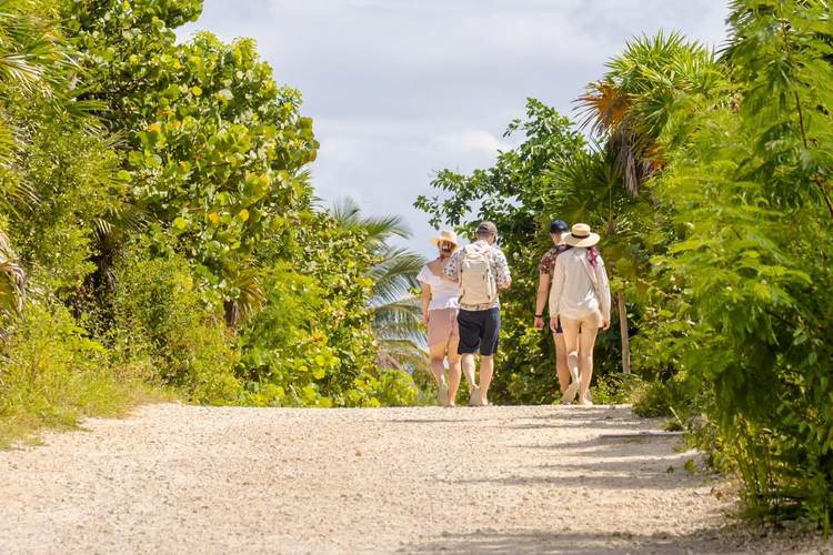 Government Confirms Free Beach Access Now Available in Tulum - Photo 4 Government Confirms Free Beach Access Now Available in Tulum - Photo 4