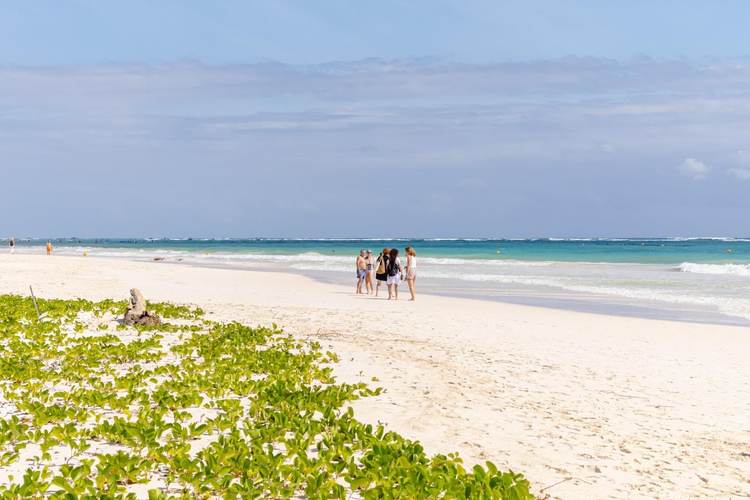 Government Confirms Free Beach Access Now Available in Tulum - Photo 6 Government Confirms Free Beach Access Now Available in Tulum - Photo 6