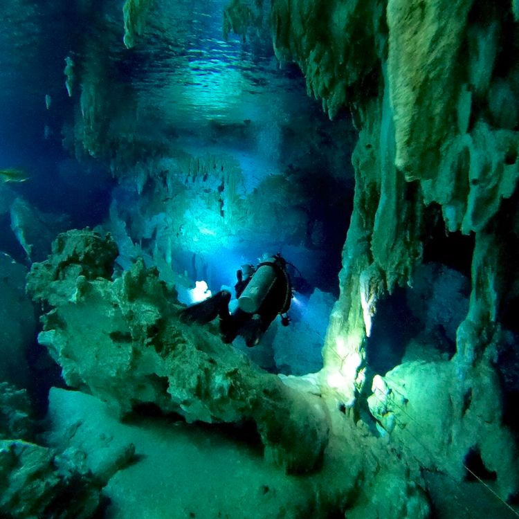 Cenotes link ancient Maya rituals with Tulum’s modern tourism rebound - Photo 5 Cenotes link ancient Maya rituals with Tulum’s modern tourism rebound - Photo 5