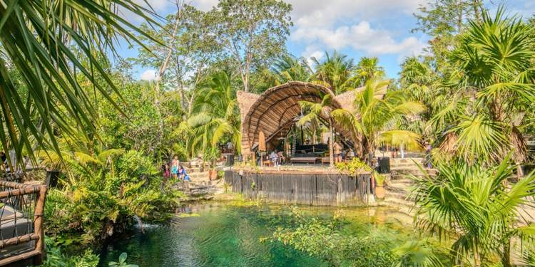 Inside the growing influence of ¿PorQuéNo? Cenote Festival in Tulum - Photo 2 Inside the growing influence of ¿PorQuéNo? Cenote Festival in Tulum - Photo 2