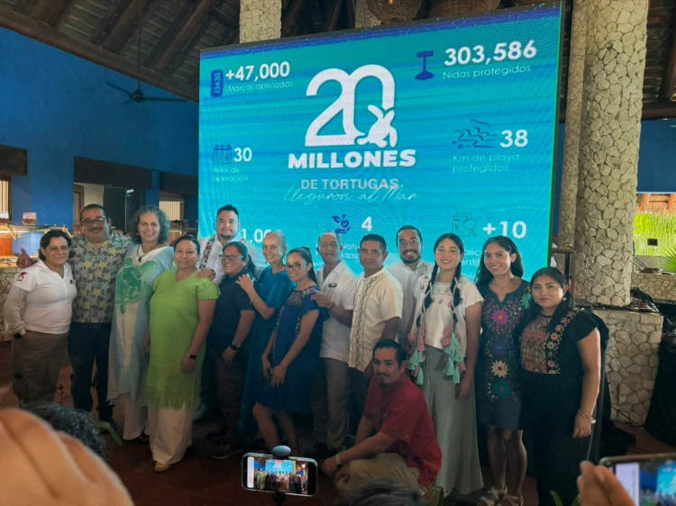 Tulum conservation program surpasses 20 million sea turtle hatchlings released - Photo 1 Tulum conservation program surpasses 20 million sea turtle hatchlings released - Photo 1