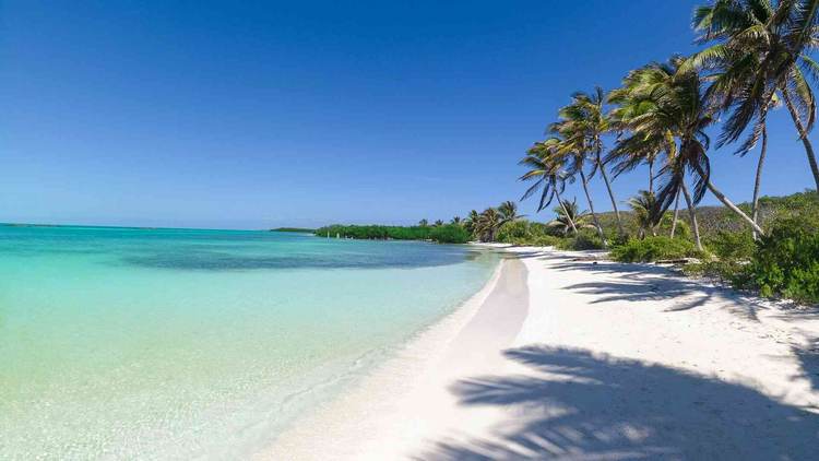 From Tulum to Punta Allen, a journey through Mexico’s protected Caribbean coast - Photo 2 From Tulum to Punta Allen, a journey through Mexico’s protected Caribbean coast - Photo 2