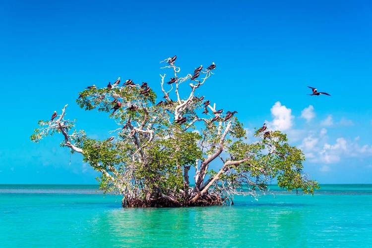 From Tulum to Punta Allen, a journey through Mexico’s protected Caribbean coast - Photo 4 From Tulum to Punta Allen, a journey through Mexico’s protected Caribbean coast - Photo 4