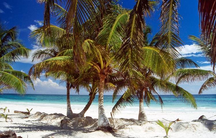 From Tulum to Punta Allen, a journey through Mexico’s protected Caribbean coast - Photo 5 From Tulum to Punta Allen, a journey through Mexico’s protected Caribbean coast - Photo 5