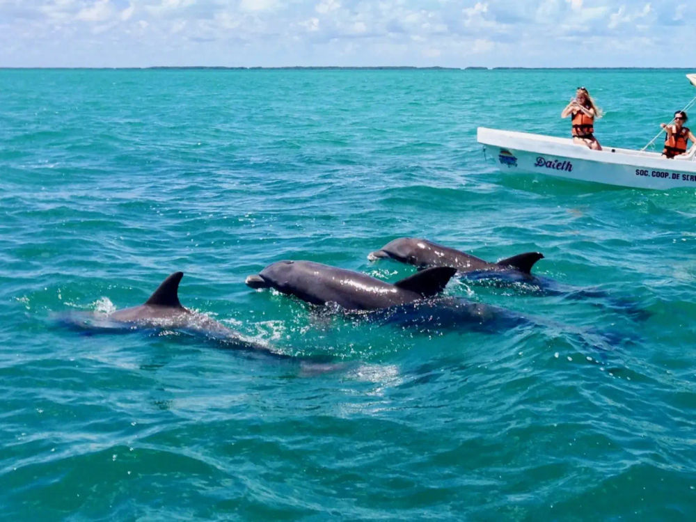 From Tulum to Punta Allen, a journey through Mexico’s protected Caribbean coast - Photo 3