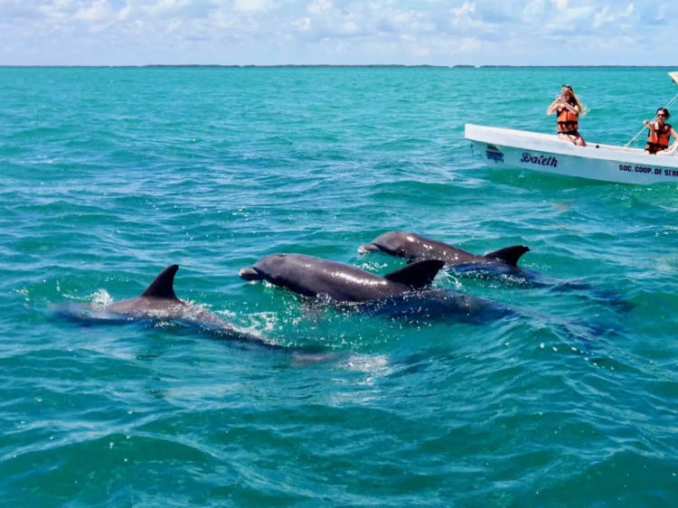 From Tulum to Punta Allen, a journey through Mexico’s protected Caribbean coast - Photo 3 From Tulum to Punta Allen, a journey through Mexico’s protected Caribbean coast - Photo 3