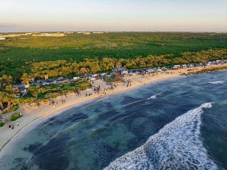 Tulum Prepares for Consolidation as Visitor Profiles Shift in 2026 - Photo 1 Tulum Prepares for Consolidation as Visitor Profiles Shift in 2026 - Photo 1