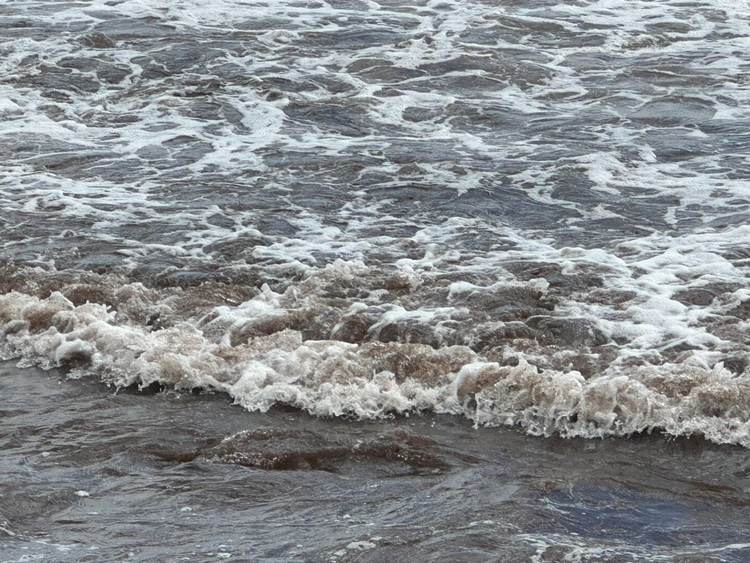 Is the early sargassum on Tulum beaches temporary or lasting? - Photo 2 Is the early sargassum on Tulum beaches temporary or lasting? - Photo 2