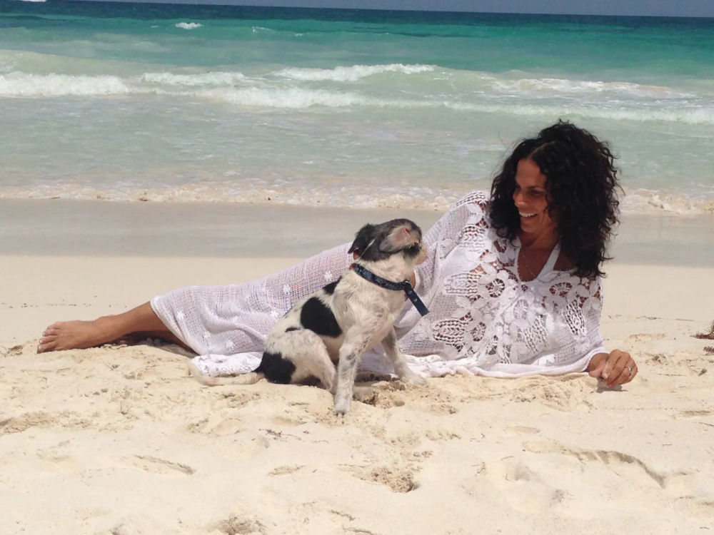 Do you have a dog and live in Tulum? What you should know - Photo 1