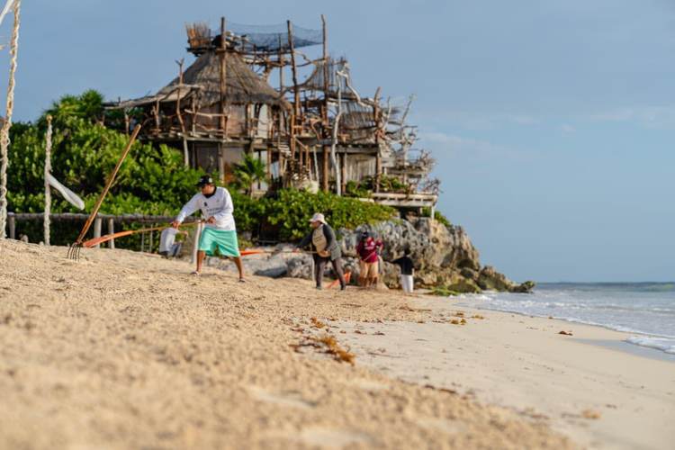 For 2026, Sargassum Will Require More Than a Wheelbarrow and a Rake - Photo 3 For 2026, Sargassum Will Require More Than a Wheelbarrow and a Rake - Photo 3