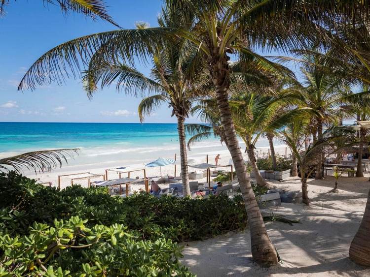 Four new public beach access points to open in Tulum - Photo 2 Four new public beach access points to open in Tulum - Photo 2