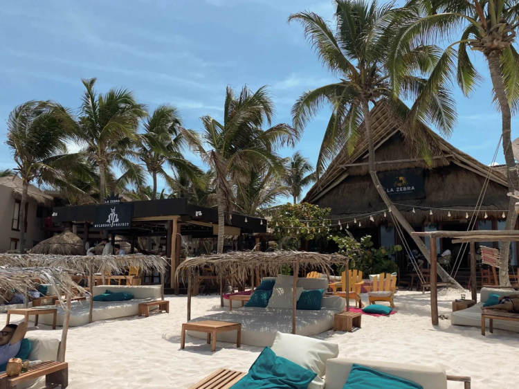 “Tulum Is the Place to Be” Terrell Owens Hosts Super Bowl 2026 Watch Party - Photo 3 la-zebra-hotel-review