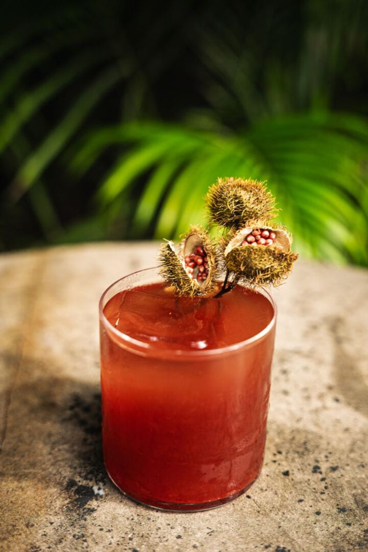 ARCA Bar Leaders Named Mixologists of the Year in National Guide - Photo 5 Bloody Mayan