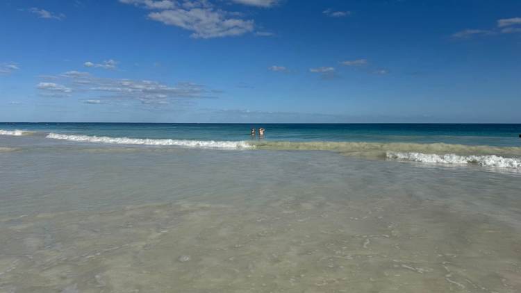 Hotels call for sanitation trust to fund sargassum control in Tulum - Photo 1