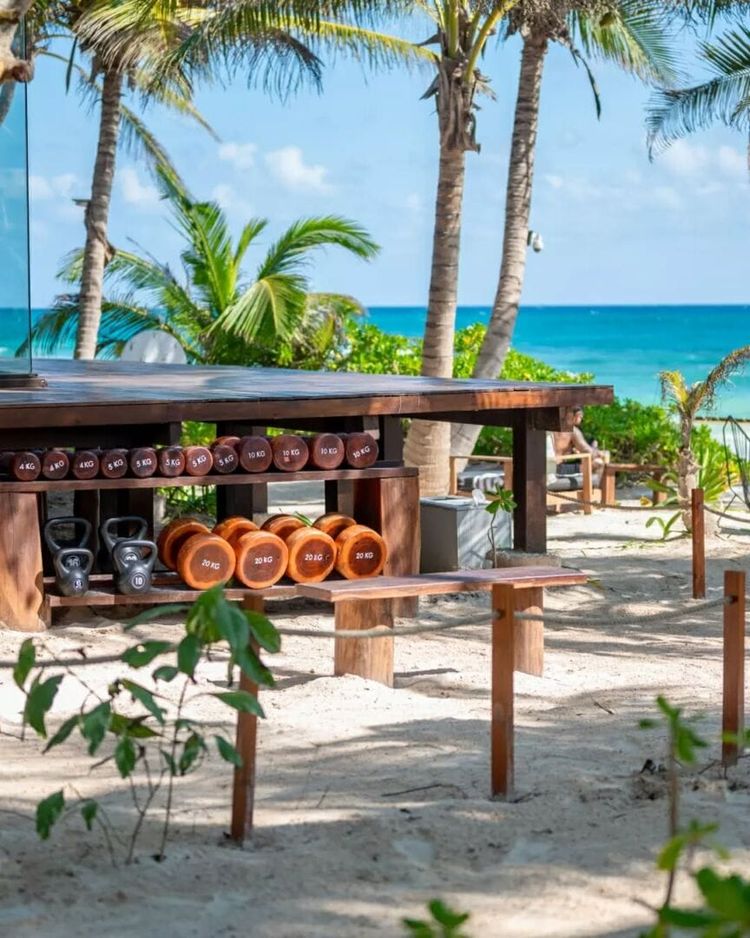 La Zebra Tulum Hosts Sold-Out Super Bowl Celebration With Terrell Owens - Photo 6 590543137_18544731730004717_2212235554358473177_n