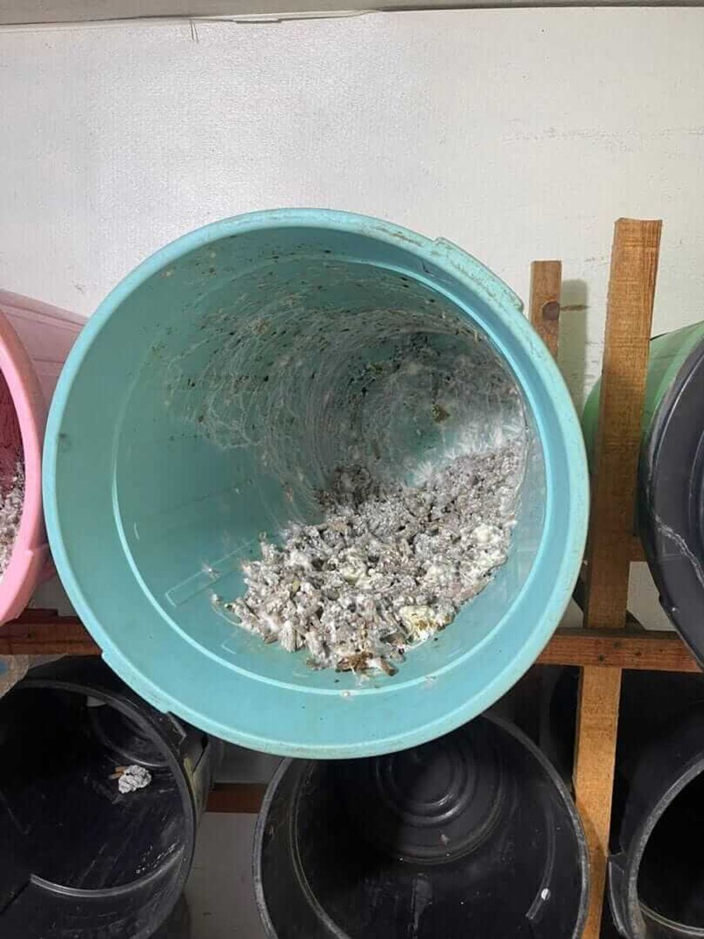 New bioremediation facility to treat cigarette waste from Tulum and Cancún - Photo 2