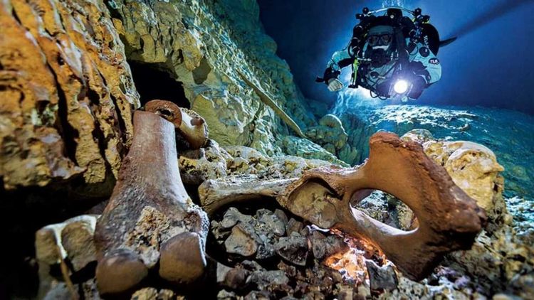 8,000-Year-Old Prehistoric Skeleton Discovered in Flooded Riviera Maya Cave - Photo 1 image-59-1