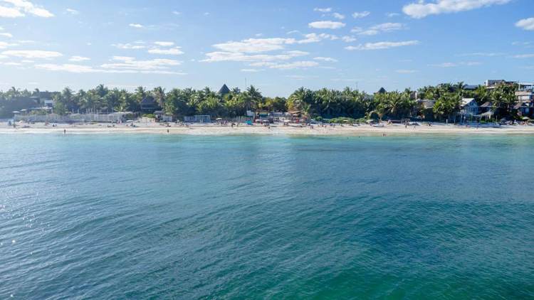 Beyond the Headlines: The Real Truth About Safety in Tulum - Photo 4 631170763_1330046085831994_1111522692396793674_n