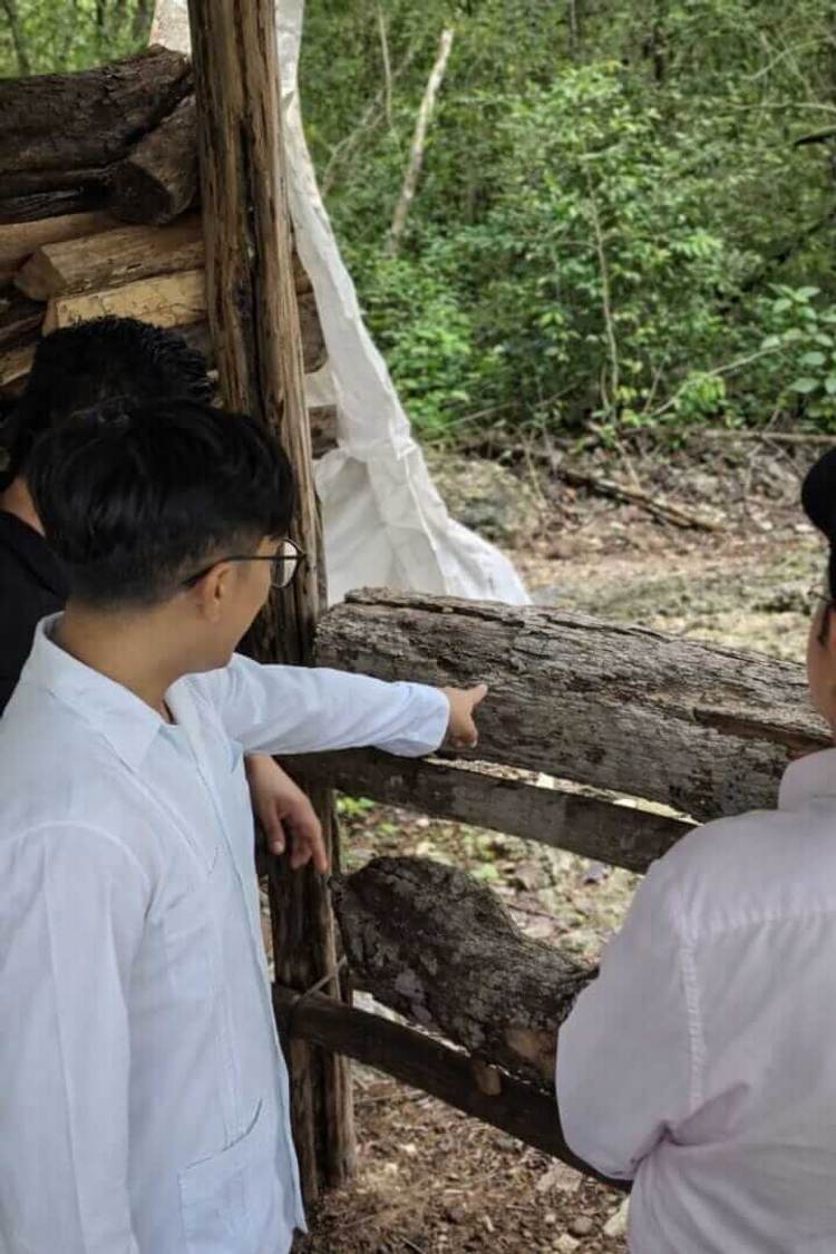 Tulum advances Maya cultural tourism circuit in rural communities - Photo 5 650914266_1355757319932086_401375180098406307_n