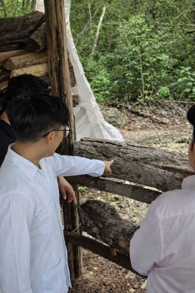 Tulum advances Maya cultural tourism circuit in rural communities - Photo 5 650914266_1355757319932086_401375180098406307_n