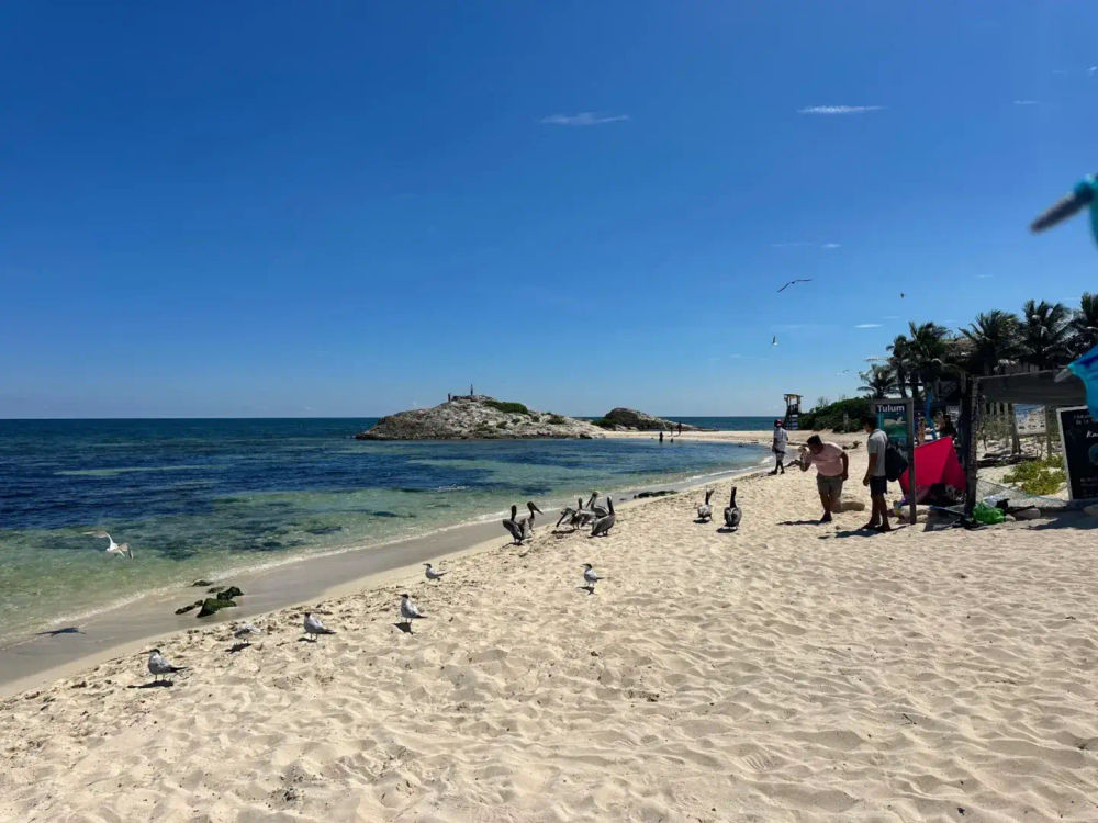 img-1767655139-scaled