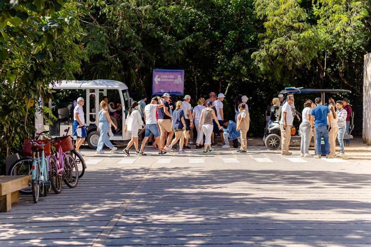 Los visitantes denuncian la falta de transporte los domingos en Jaguar Park - Foto 1 606004878_1296566335846636_6610400277528041797_n