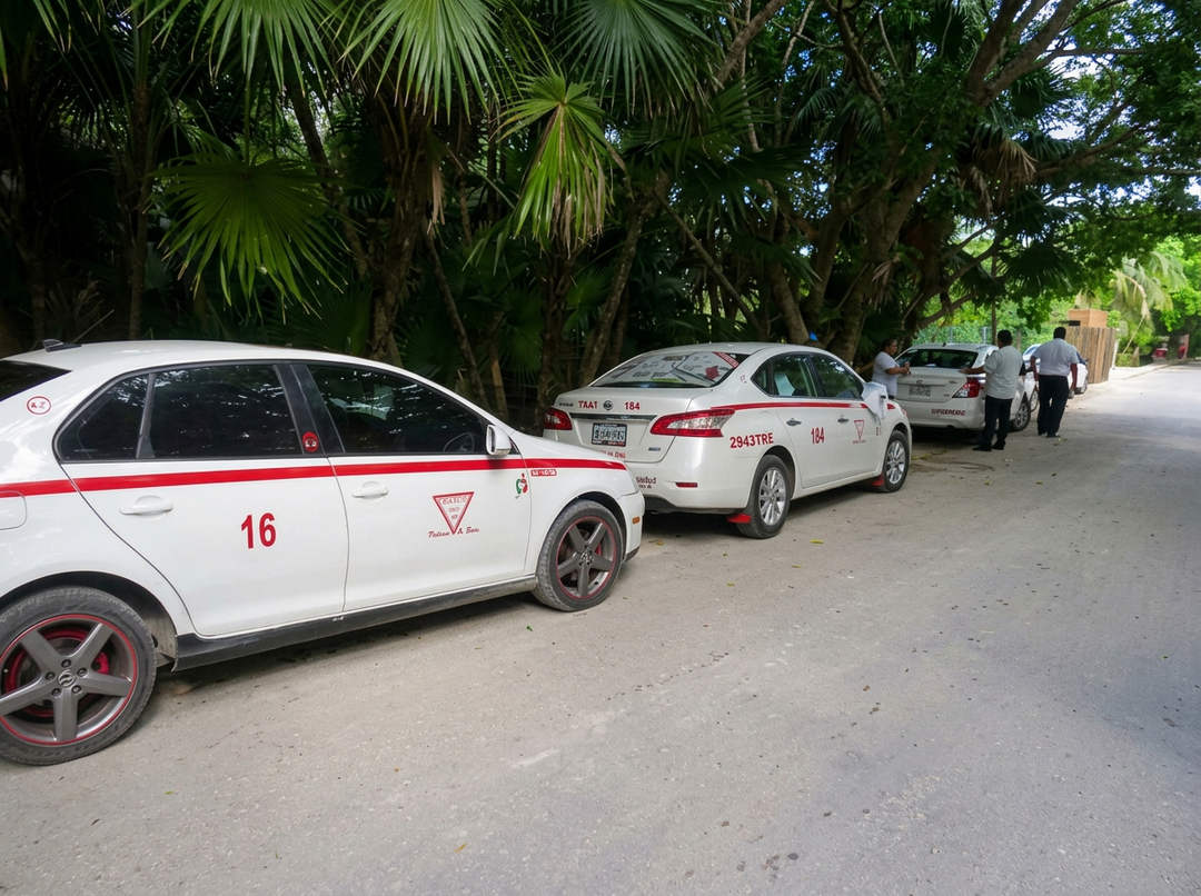 Overcharging of tourists in Tulum could undo the town's fragile recovery Overcharging of tourists in Tulum could undo the town's fragile recovery