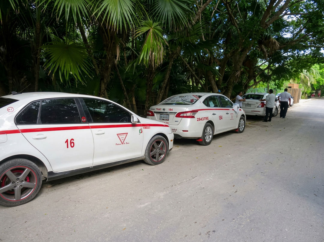 Overcharging of tourists in Tulum could undo the town's fragile recovery Overcharging of tourists in Tulum could undo the town's fragile recovery