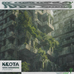 1000 Answers Cover art