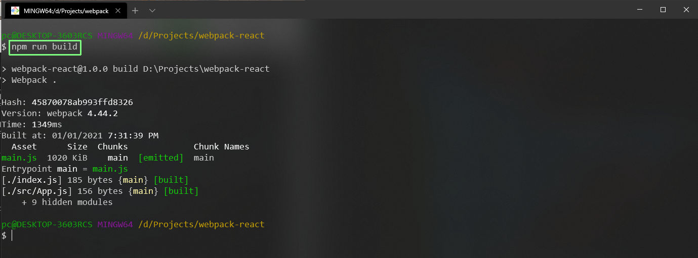 npm run build