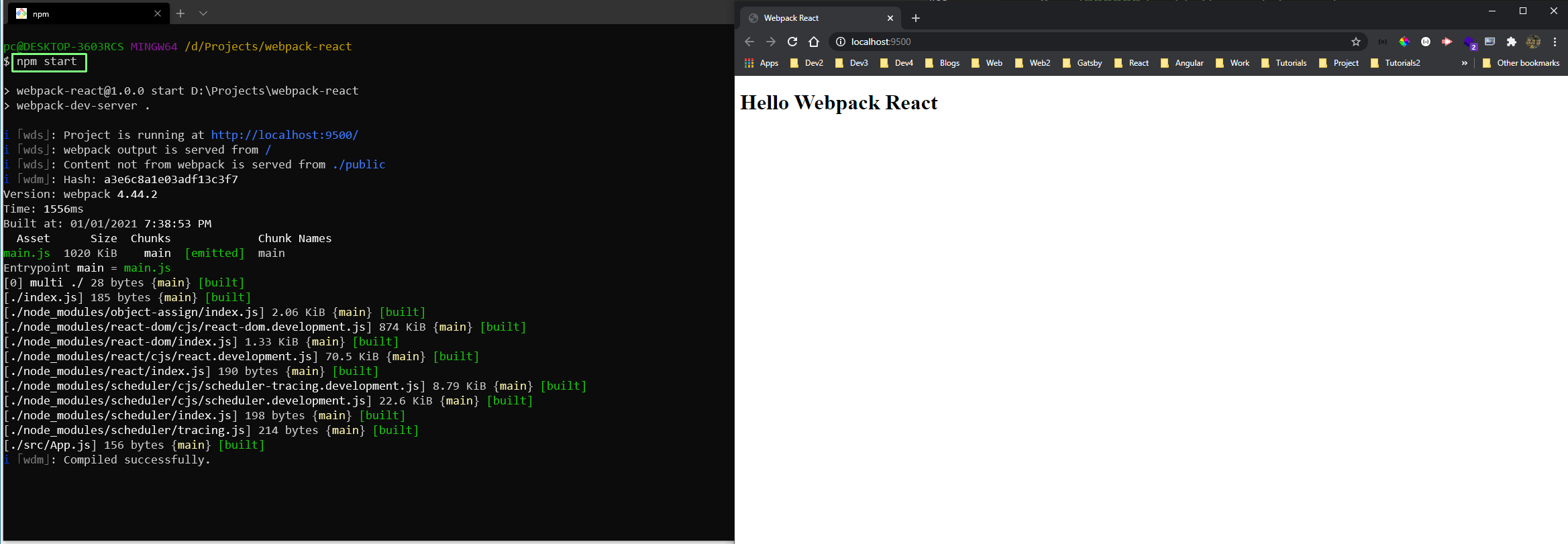 npm start