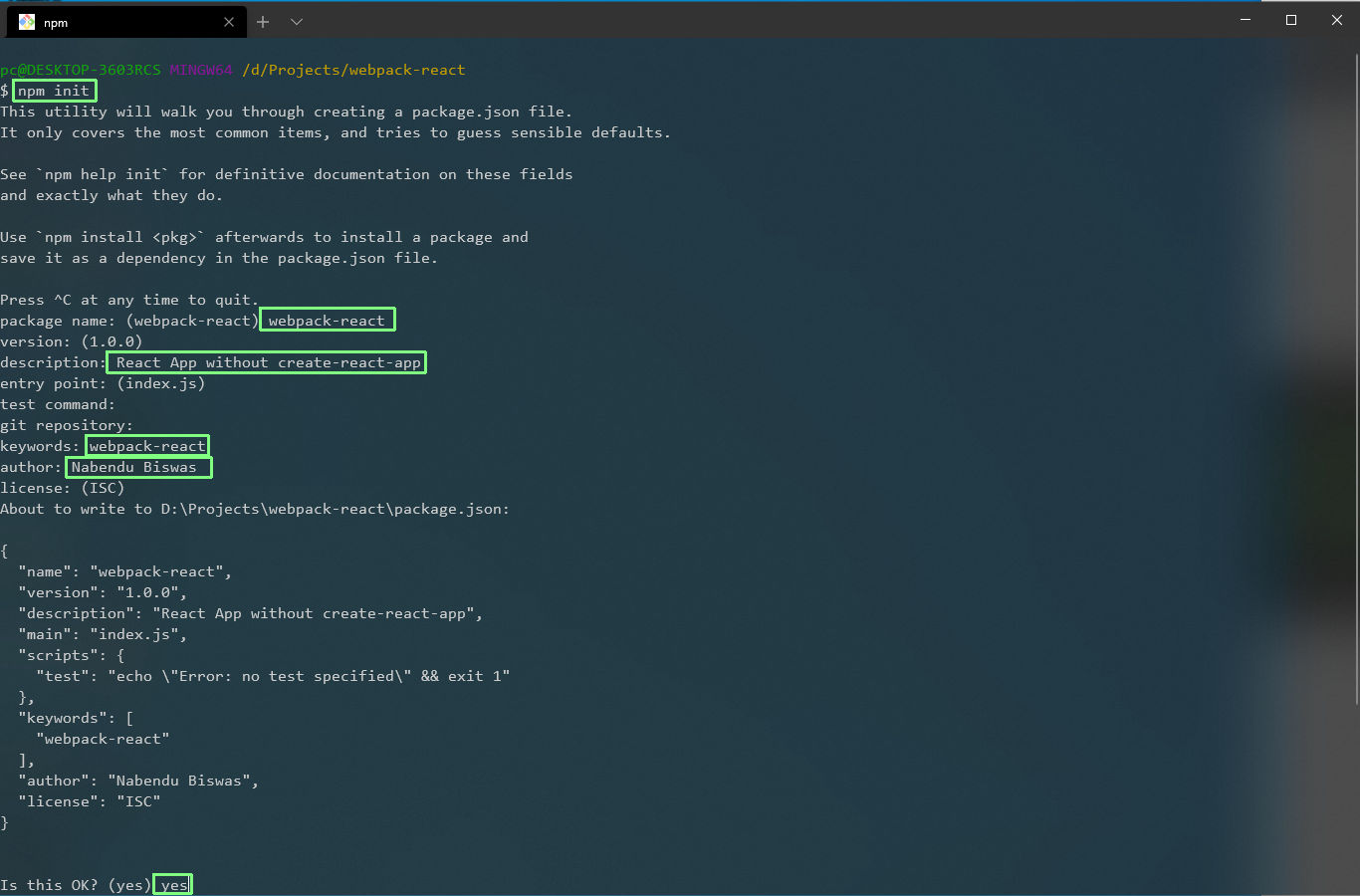 npm init