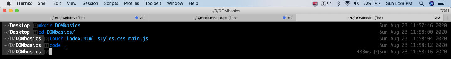 DOMbasics