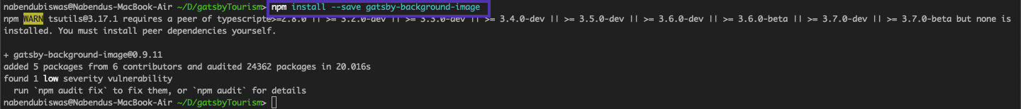 npm install