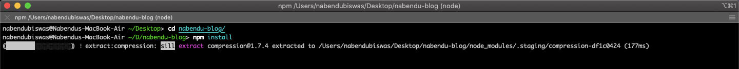 npm install