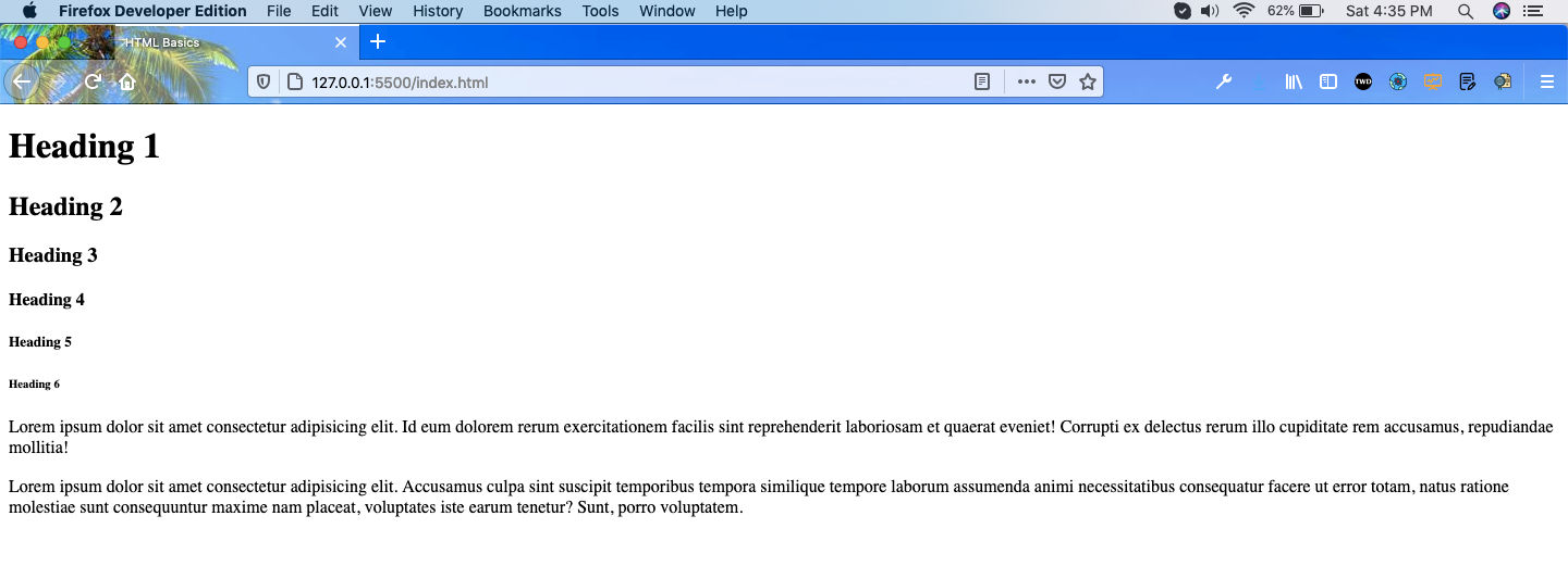 Paragraph Tags