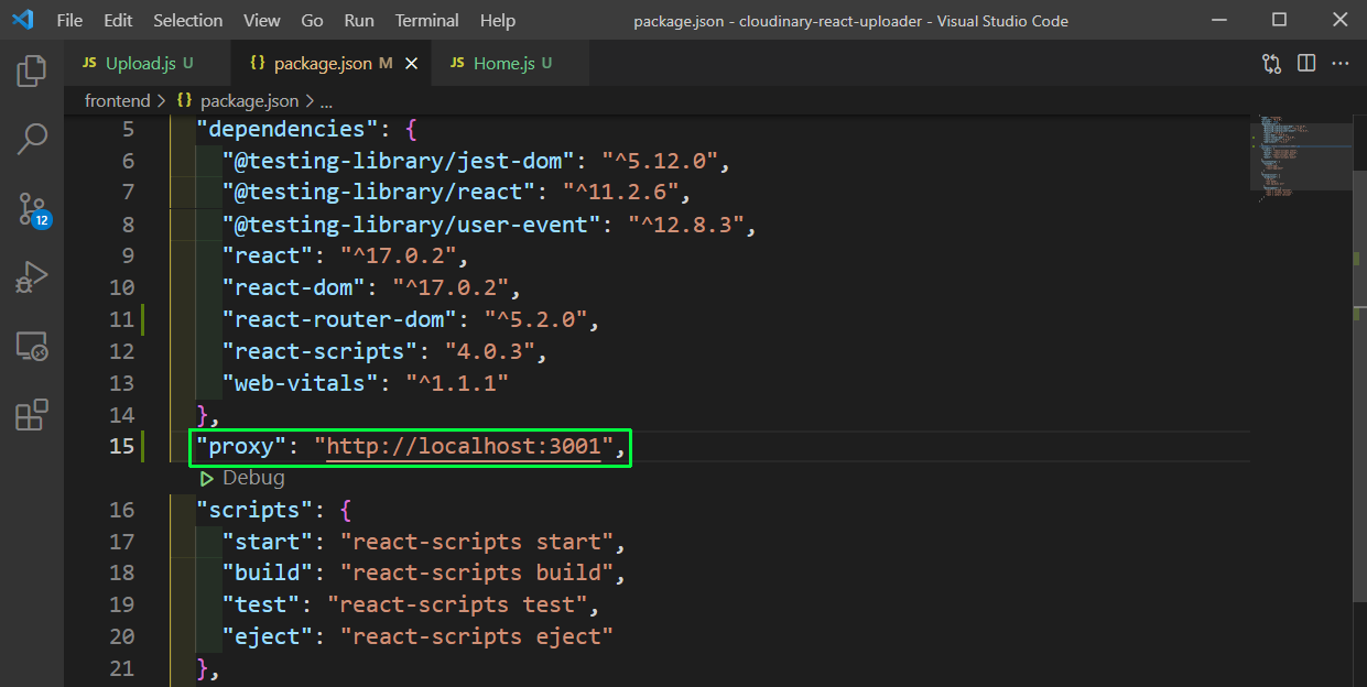 package.json