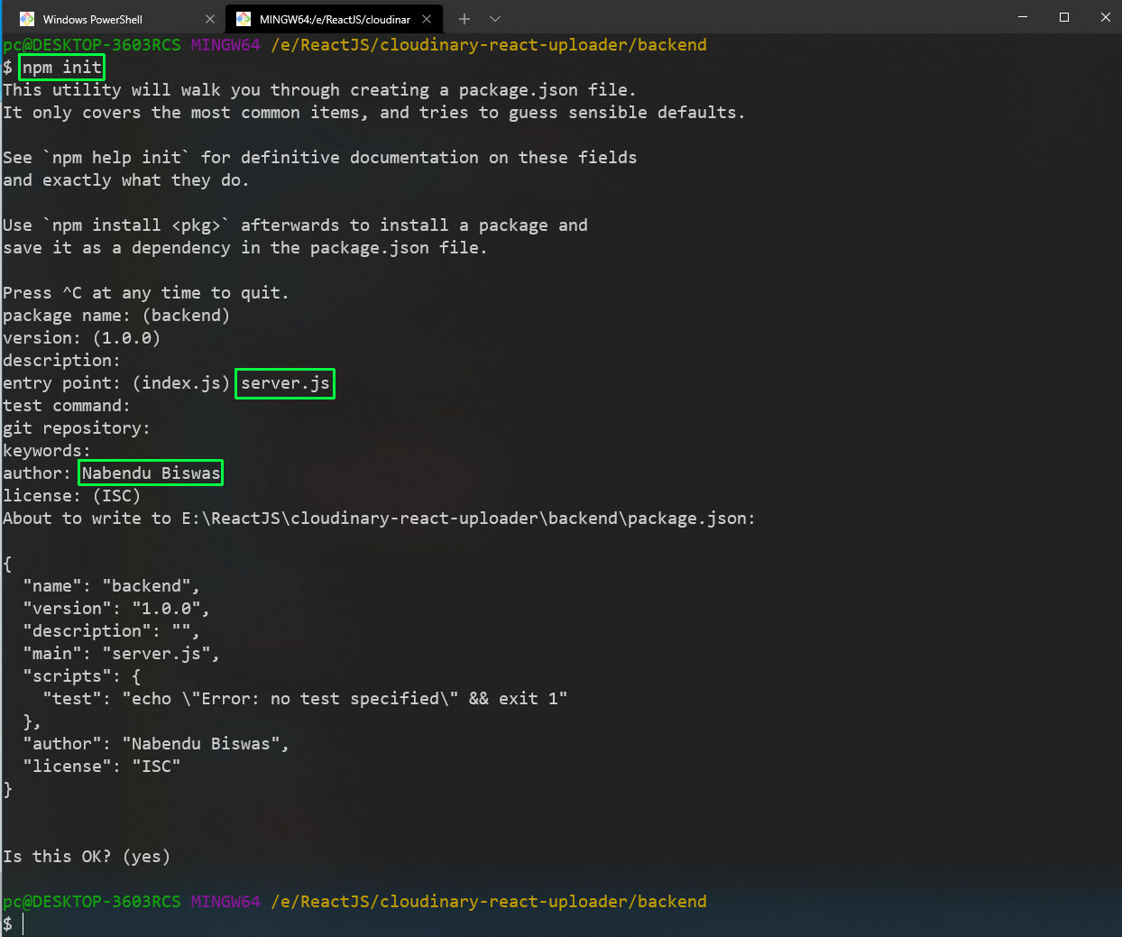npm init