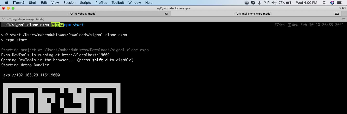 npm start