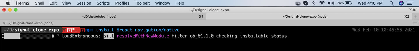 npm install