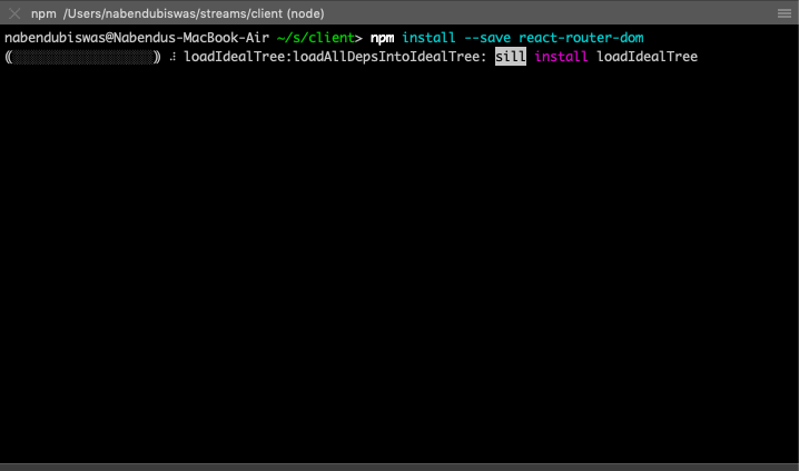 npm install