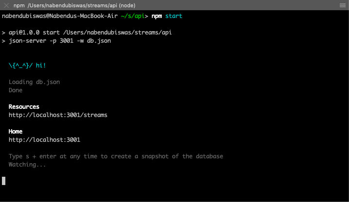 npm start