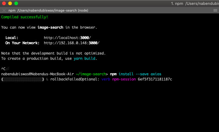 axios install