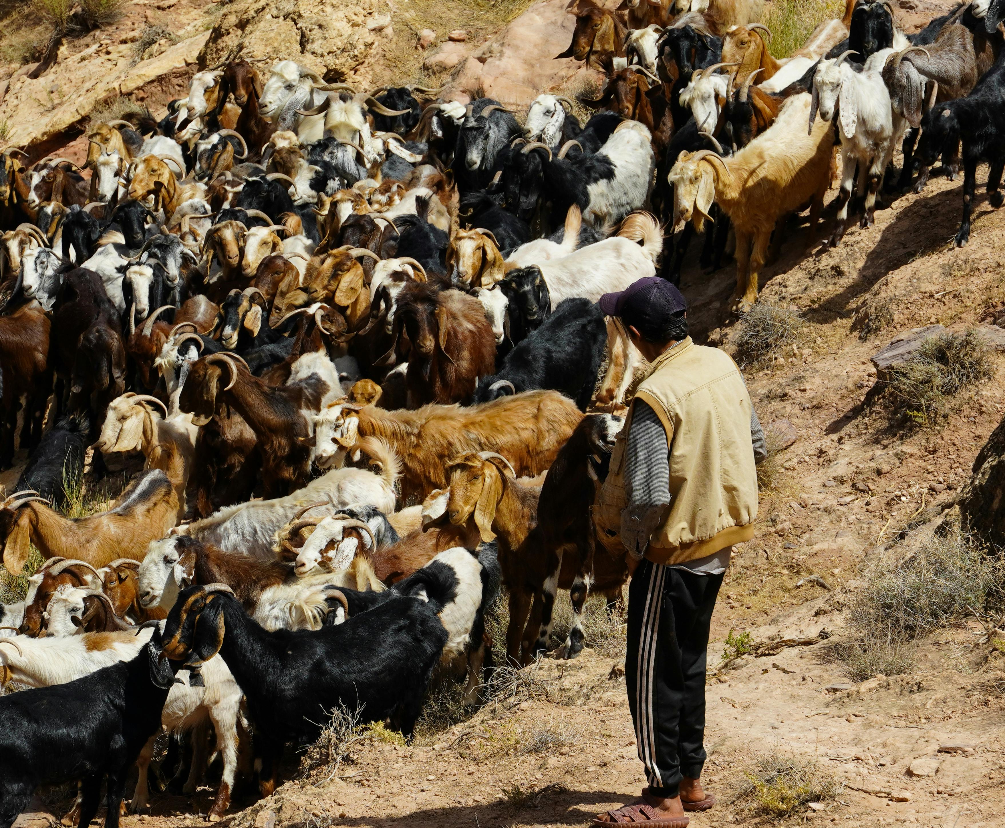 Panduan Lengkap Cara Withdraw Dana: Langkah Praktis dan Tips Keamanan Transaksi